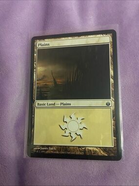 Magic: The Gathering Plains Basic Land Card - White